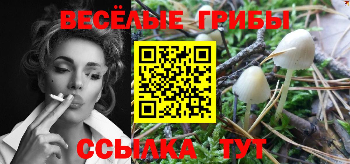 как найти наркотики  Вход с VPN  Ишимбай  Псилоцибиновые грибы ЛСД 
